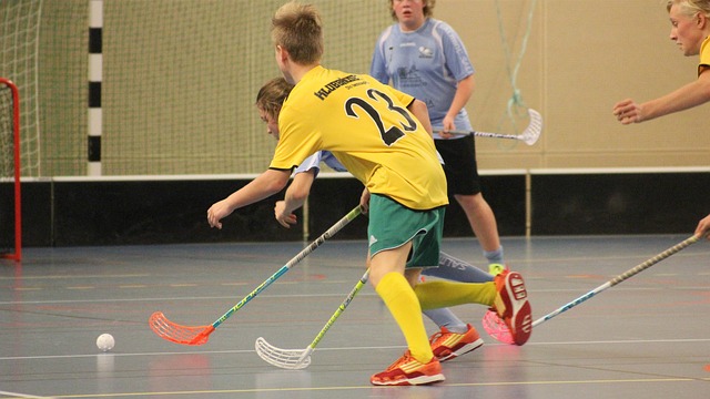 Soubor:floorball-519199_640.jpg